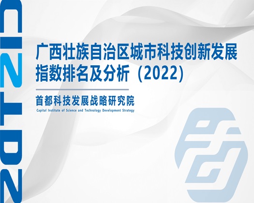 黄色操逼.c【成果发布】广西壮族自治区城市科技创新发展指数排名及分析（2022）